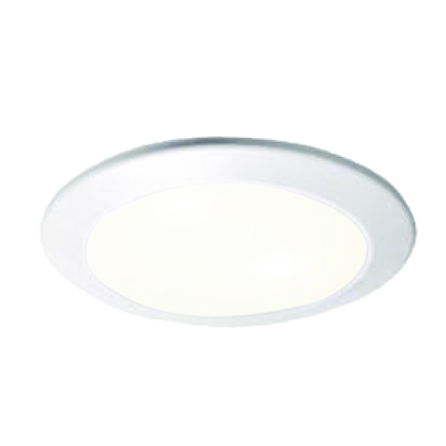 Small LED Ceiling Disk Light